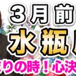 3月前半 みずがめ座の運勢♒️ / 素晴らしい時間が始まっていく✨ 絶頂からの始まり🌈 その前にスッキリさせることもあるかも❗️【トートタロット & 西洋占星術】