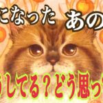 [今あの人は？] 疎遠になったあの人は今どうしてる❓どう思っていますか❓