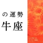 【牡牛座🌞3月の運勢】史上最強のターニングポイント😳周囲を明るく照らす太陽に✨2025年タロット占い