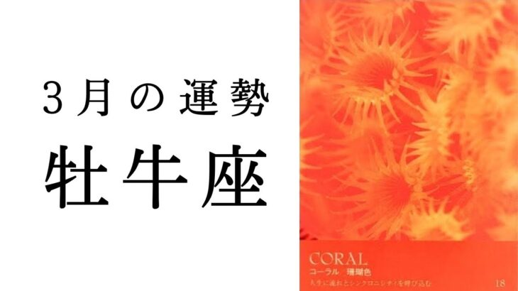 【牡牛座🌞3月の運勢】史上最強のターニングポイント😳周囲を明るく照らす太陽に✨2025年タロット占い