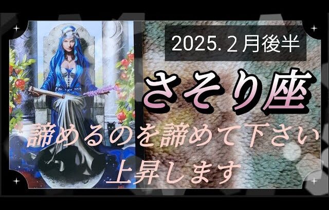 【２月後半🍀】蠍座さんの運勢🌈諦めるのを諦めて下さい。動きます✨✨✨