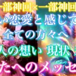 💘一部神回×一部辛口🦋 厳しい恋愛と感じている全ての方々へ、あの人の思い、現状、未来、あなたに必要なメッセージをお伝えします🦋