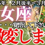 【乙女座】２月後半～３月前半、おとめ座の運勢｜運命の分かれ道…間違えると後悔する。知らないと損する…今やるべきこと、やってはいけないこと