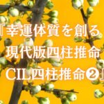 『幸運体質を創る　現代版四柱推命　CIL四柱推命❷』【あなたは生前に自分の魂が決めた、人生を歩んできましたか？　本来会えるはずのソウルメイトには会えましたか？】