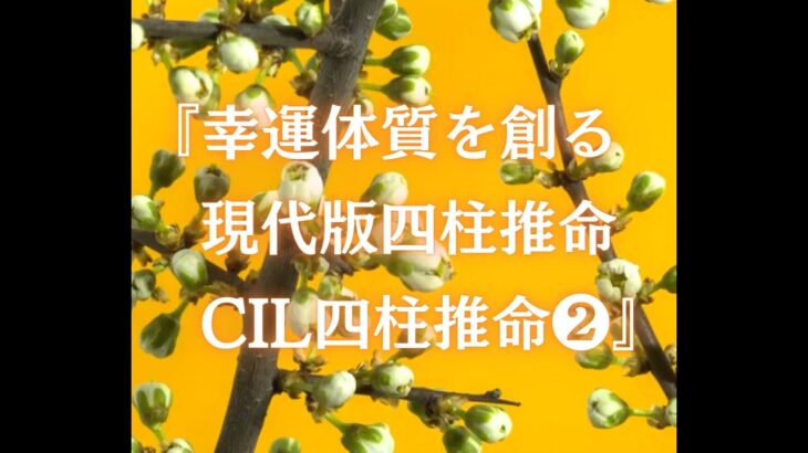 『幸運体質を創る　現代版四柱推命　CIL四柱推命❷』【あなたは生前に自分の魂が決めた、人生を歩んできましたか？　本来会えるはずのソウルメイトには会えましたか？】