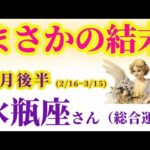 【水瓶座の総合運】2025年2月16日から3月15日までのみずがめ座の総合運。#水瓶座 #みずがめ座