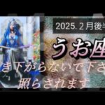 【2月後半🍀】魚座さんの運勢🌈引き下がらないで下さい。照らされます✨✨✨