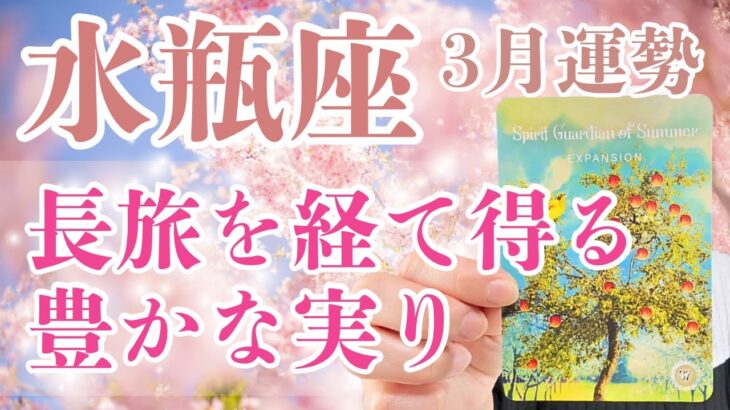 【水瓶座】✨🍎長旅を経るからこそ辿り着ける豊かな実りがあるようです🍒#3月の運勢 🔮✨