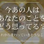 今あの人はあなたのことをどう思ってる？これから変わっていきそうなこと。【 恋愛・気持ち・タロット・オラクル・占い】