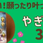 【山羊座】３月♑️すごい幸せ‼️願ったり叶ったり❗️次から次へと願いが叶う✨あらゆる豊かさを受け取る❗️