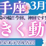 【射手座】神回！！大きく動き出す運命！ 見逃し注意です👀【仕事運/対人運/家庭運/恋愛運/全体運】3月運勢  タロット占い