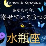 【水瓶座♒️見た時がタイミング】あなたが今、引き寄せている３つのこと