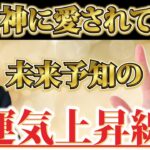 厳選！神に愛されている手相！未来予知の運気上昇線！