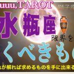 可能性は無限大なのだ🪐水瓶座♒️さん【獅子座満月🌕〜コレが分れば手に出来る⁉️貫くべきものとは…】#2025 #タロット占い #星座別