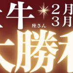 牡牛座さん2月後半〜3月前半♉️大勝利✨全ての牡牛座さんへ大切なメッセージ来ています💌辛い時期終了🌈仕事運🫧対人運✨金運🌟【#占い #おうし座　#2025年】