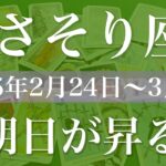 【さそり座】週間リーディング（2025年2月24日〜3月2日）♏️凄そうな週！苦しさが吹き飛ぶニュース