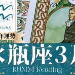水瓶座♒3月運勢✨一人になって強くなることで幸せ！🌟現状🌟仕事運🌟恋愛・結婚運🌟ラッキーカラー🌟開運アドバイス🌝月星座みずがめ座さんも🌟タロットルノルマンオラクルカード