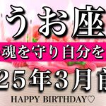 うお座♓︎2025年3月前半 お誕生日おめでとう㊗️🎂！美しい魂を守り自分を愛でる🔥Pisces tarot reading