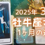 牡牛座さん♉️2025年3月の運勢タロットリーディング✨【お久しぶりです！】