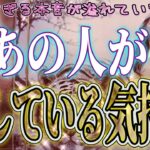 【わかりづらい相手の気持ち🌹】片思い複雑恋愛タロットカードリーディング🫧個人鑑定級占い🔮