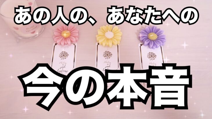 あの人の超タイムリーな声。今あなたの事をどう思っている？怖いくらい当たる❤️恋愛タロット占い ルノルマン オラクルカード細密リーディング🍫