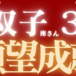 双子座さん3月運勢♊️予祝🎉夢が叶う💕願望実現🌈仕事運🫧対人運🌟金運👼【#占い #ふたご座 #最新】