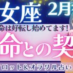 【乙女座】大アルカナ集結！！3月に向けて凄い運気！大到来♥️【仕事運/対人運/家庭運/恋愛運/全体運】2月運勢  タロット占い