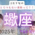 【とてつもない連絡って❓🤔】蠍座2月下旬　ケルトタロットカード#タロットカード#タロット占い#タロット#運勢#2月下旬#蠍座