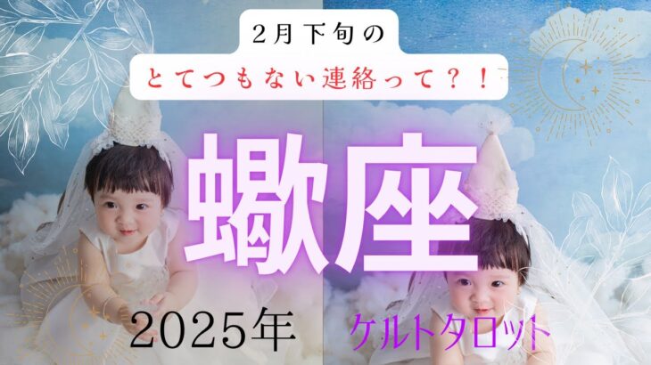 【とてつもない連絡って❓🤔】蠍座2月下旬　ケルトタロットカード#タロットカード#タロット占い#タロット#運勢#2月下旬#蠍座