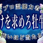 【2月後半🔮牡牛座】運勢がヤバいから絶対見て。今から楽しみすぎる…