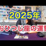 【ライブ切り抜き】2025年のおひつじ座の運勢をタロットで占ってみた✨【リクエスト占い】