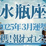 【みずがめ座】3月運勢　大収穫💰未来で大勝利が待ってます💪大きな実り、想いが報われるとき🌈幸運の鍵は、自分なりの成功を大切に【水瓶座 ３月】タロットリーディング