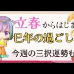 【解説】今日は立春！新しい年のはじまりな話と東洋占いの解説＆三択占い【雑談】【初見さん歓迎】【Vtuber】【占い】【virtualyoutuber】