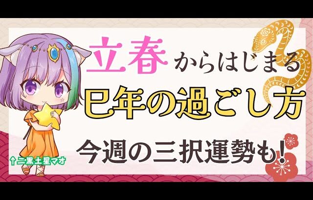 【解説】今日は立春！新しい年のはじまりな話と東洋占いの解説＆三択占い【雑談】【初見さん歓迎】【Vtuber】【占い】【virtualyoutuber】