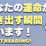 タロット占い・運命が動き出す瞬間をリーディング⚠️運命の扉が開くときあなたはどんな未来と出会う？🧅🪺【タロット・ルノルマン・オラクル・カードリーディング】