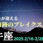 【2月後半 牡牛座】最後の難関を遂に突破！！より上手くいく為の鍵は…🌿🕊✨【運勢】【おうし座】【タロット】【占い】