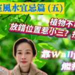 【辦公室風水】植物亂放易惹禍？| 招財需靠Wallpaper？| EP0090 20250215 #自己話事 #阿娜 #李sir玄宇宙學園 #奇門命盤 #奇門風水 #幾何立極法 #辦公室風水 #招財