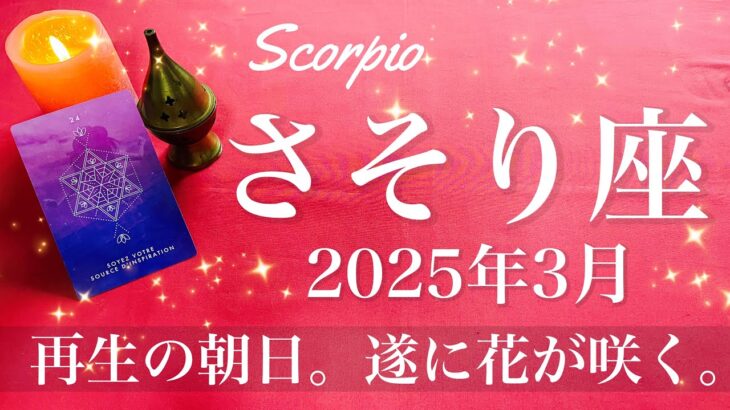 【さそり座】2025年3月♏️ 解放！新たな希望が見えてくる！破壊と再生、柵の外の世界、努力が花開いて行くタイミング