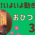 【牡羊座】３月♈️すごい‼️決断していく❗️いよいよ動き出して行く✨未来は希望に満ちている❗️