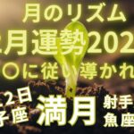 2/12獅子座満月から始まる2月の運勢！あなたに導きがまっている〜射手座下弦・魚座新月へ〜