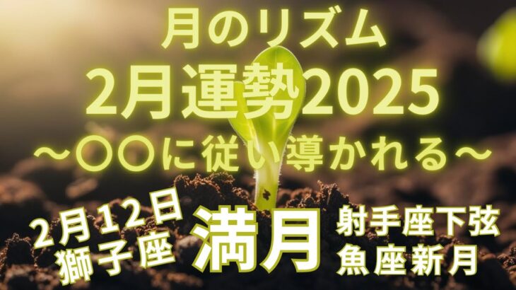 2/12獅子座満月から始まる2月の運勢！あなたに導きがまっている〜射手座下弦・魚座新月へ〜