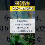 【算命学】2025年はどんな年？#shorts#算命学#算命学鑑定