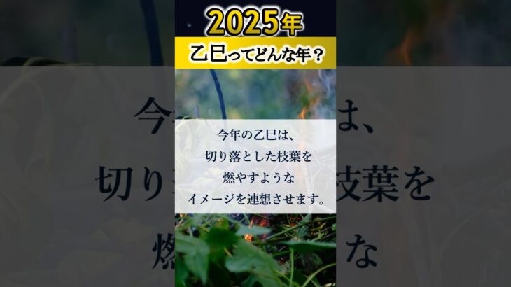 【算命学】2025年はどんな年？#shorts#算命学#算命学鑑定