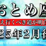 おとめ座♍︎2025年2月後半 やっと見えてくる🔥霧が消え行くべき道が明白になる✨Virgo tarot reading