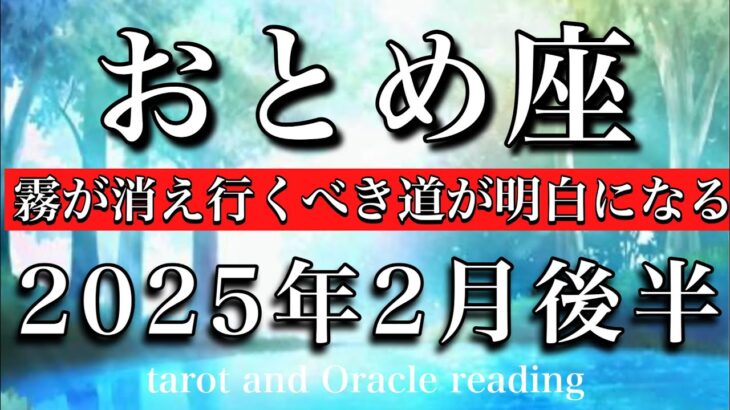 おとめ座♍︎2025年2月後半 やっと見えてくる🔥霧が消え行くべき道が明白になる✨Virgo tarot reading