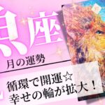 魚座♓️2025年2月の運勢🌈大きな愛で開運❗️✨自分を表現することが自他を救う💖癒しと気付きのタロット占い