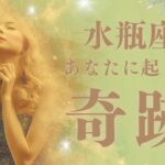 ２月後半【水瓶座♒️】運命の輪がダブル‼️すごーい‼️勝利、成功、豊かさが待っています‼️#みずがめ座 #タロットリーディング