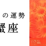 【蟹座🫧2月の運勢】運命が動きだす⭐️間もなく明らかになる新展開　2025年タロット占い