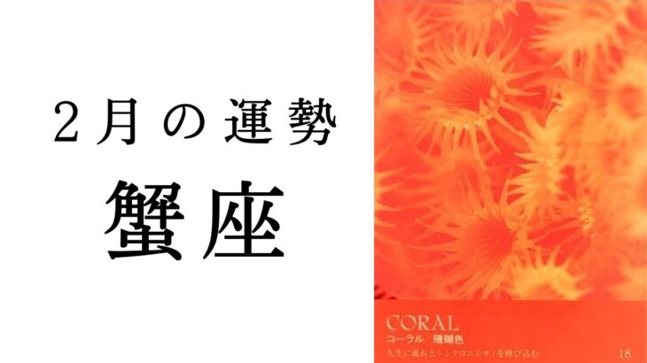 【蟹座🫧2月の運勢】運命が動きだす⭐️間もなく明らかになる新展開　2025年タロット占い