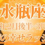 【みずがめ座】2月後半運勢　このカード展開、もう最高すぎます…✨怒涛の幸せラッシュ到来です🌈幸運の鍵は、今ある幸せに気付くこと【水瓶座 ２月】タロットリーディング